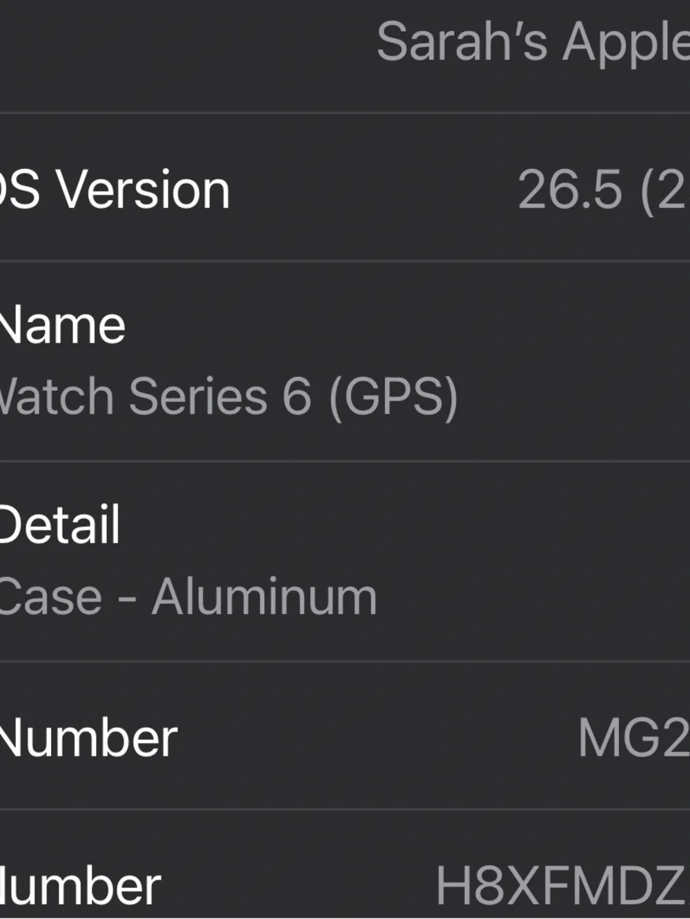 Apple Watch Silver Case with Black Display